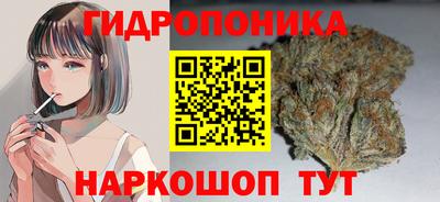 СК Моздок